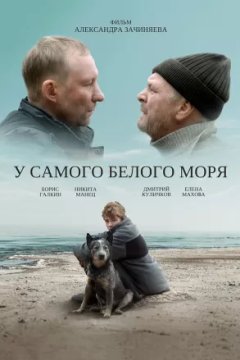 Постер к фильму У самого Белого моря