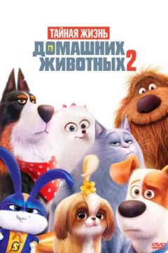 Постер к фильму Тайная жизнь домашних животных 2
