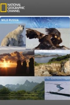 Постер: Дикая природа России