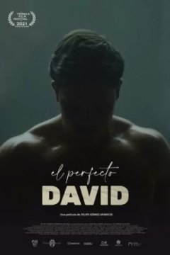 Постер к фильму Идеальный Давид