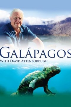 Постер: Галапагосы с Дэвидом Аттенборо