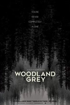 Постер к фильму Серый лес