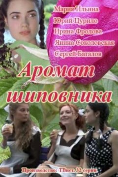 Постер к фильму Аромат шиповника