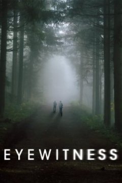 Постер: Свидетели