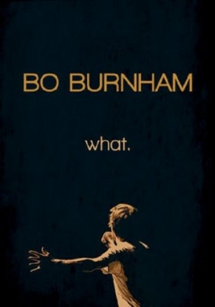 Постер к фильму Бо Бёрнем: Что.