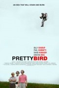Постер к фильму Пташка