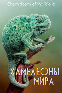 Постер к фильму Хамелеоны мира