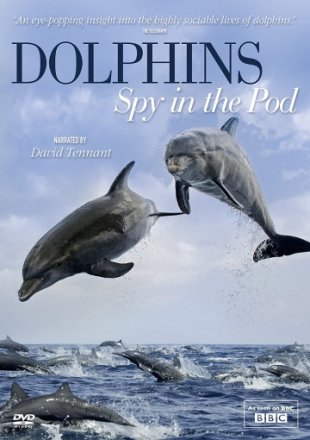 Постер к фильму Дельфины скрытой камерой