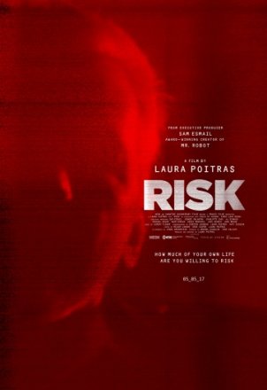 Постер к фильму Риск
