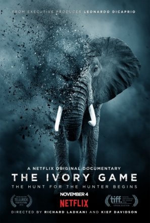 Постер к фильму Игра цвета слоновой кости