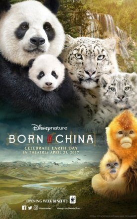 Постер к фильму Рожденные в Китае