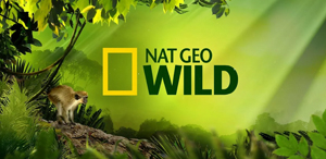 Логотип канала Nat Geo Wild EN