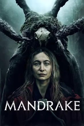 Постер к фильму Мандрагора
